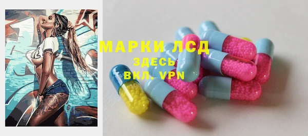 шишки Осташков