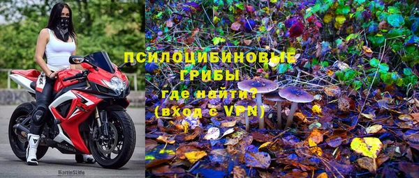 молекула духа Алексеевка
