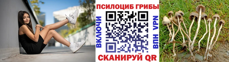 Галлюциногенные грибы мухоморы  Тара 